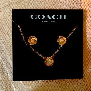 Necklace diamond in center w earrings